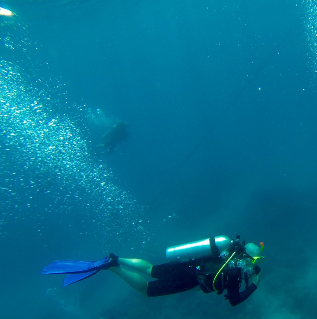 DCIM101GOPRO