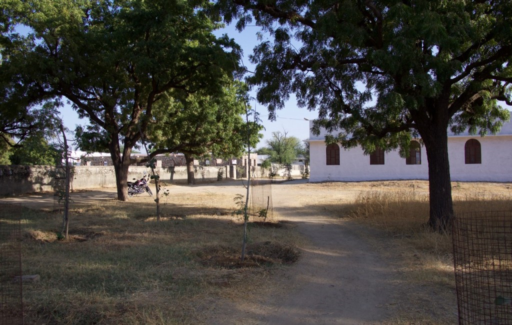tilonia - 18