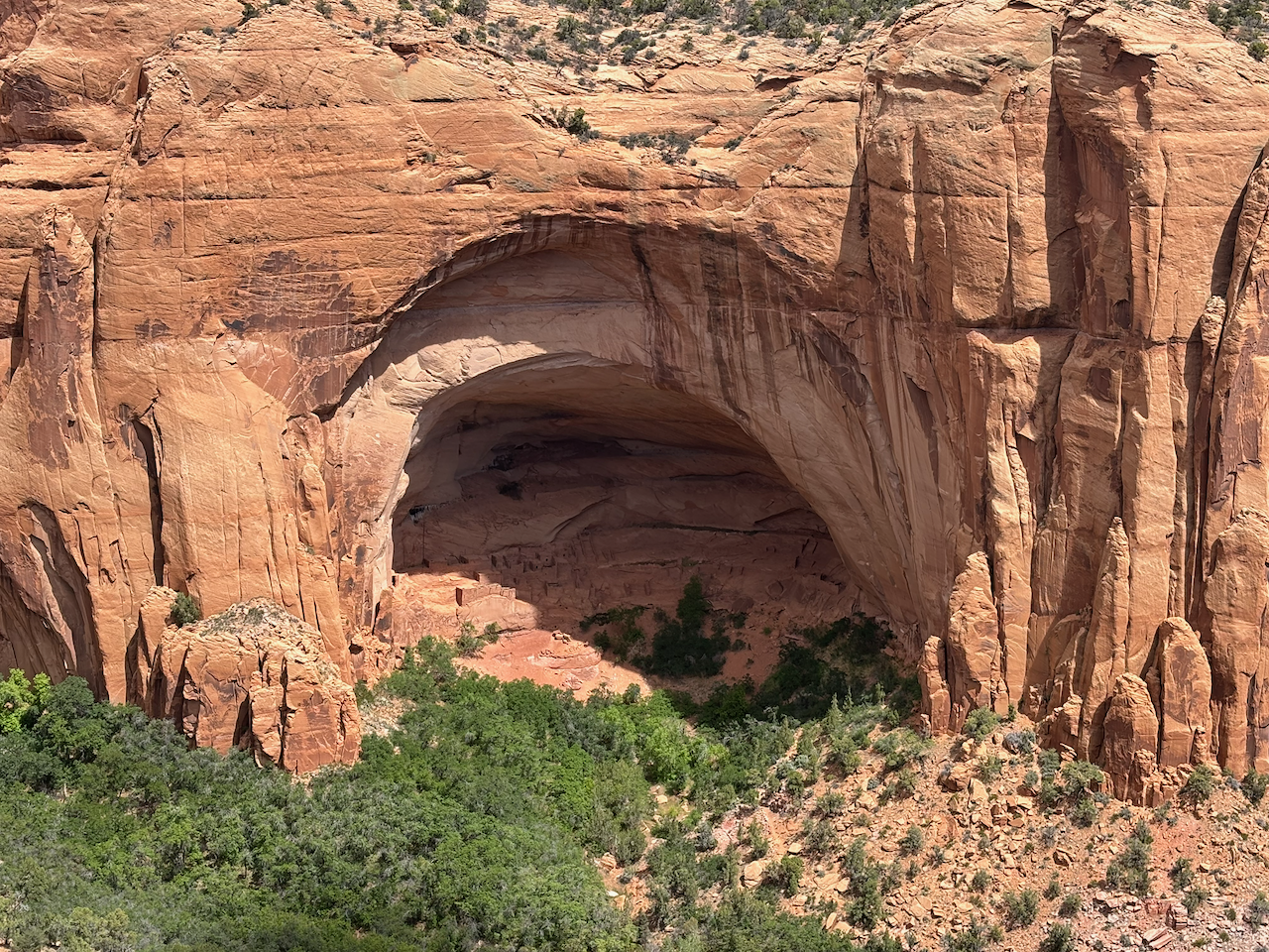 Betatakin Alcove